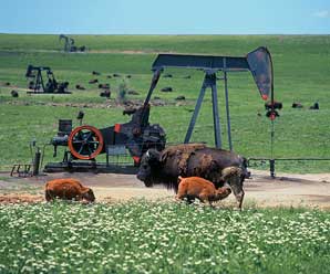 Arrow C Series Engine on pump jack